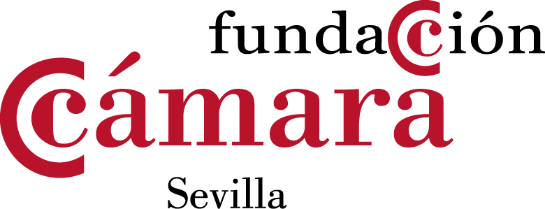 Logo empresa colaboradora 4_Logo Fundación Cámara